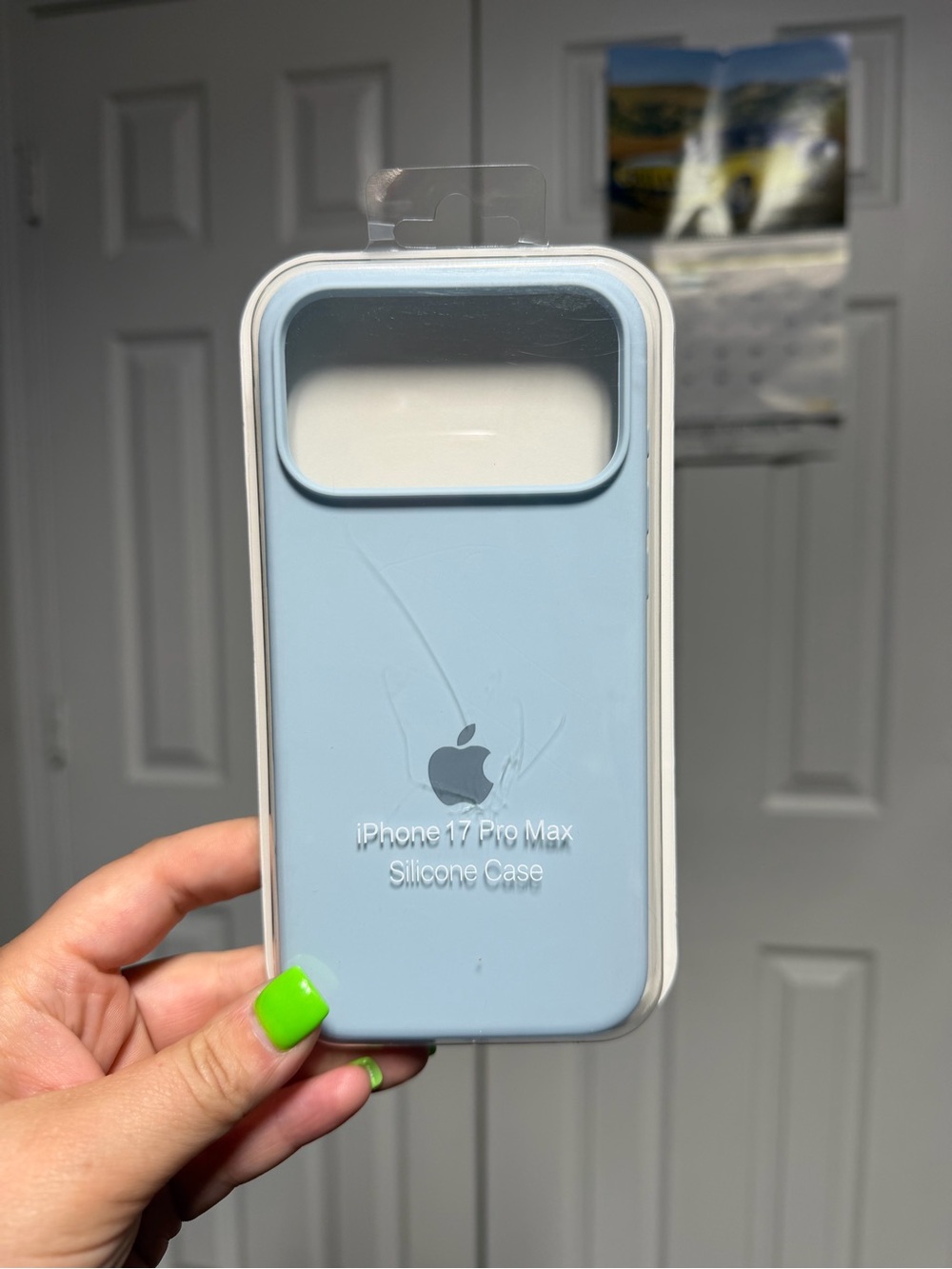 Apple iPhone 17 Pro Max Silicone Case in Light Blue